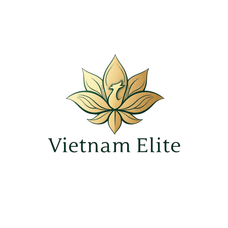 Vietnam Enterprise DNA®