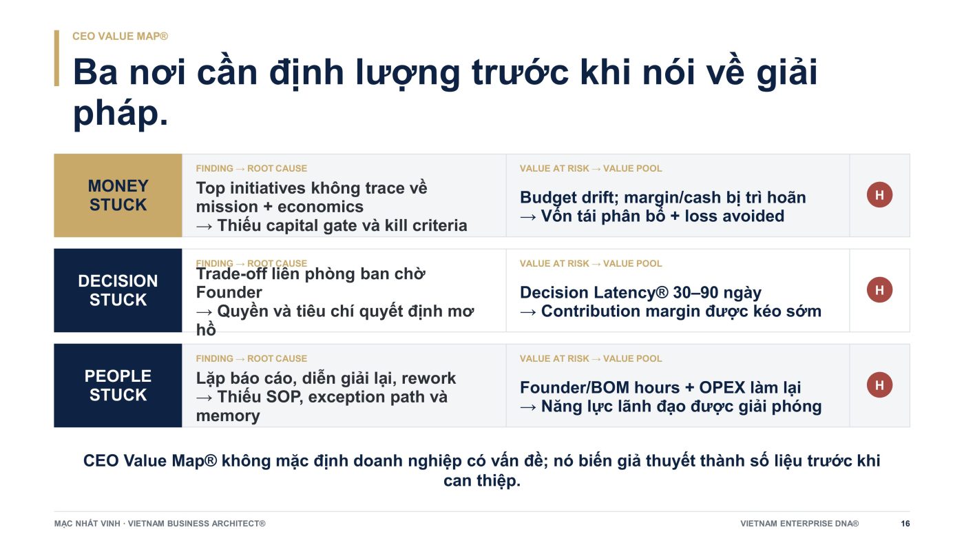 Vietnam Enterprise DNA®