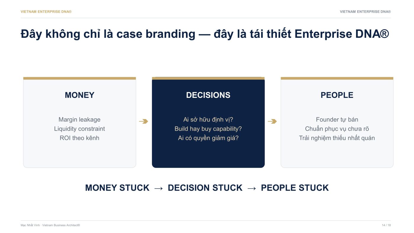 Vietnam Enterprise DNA®