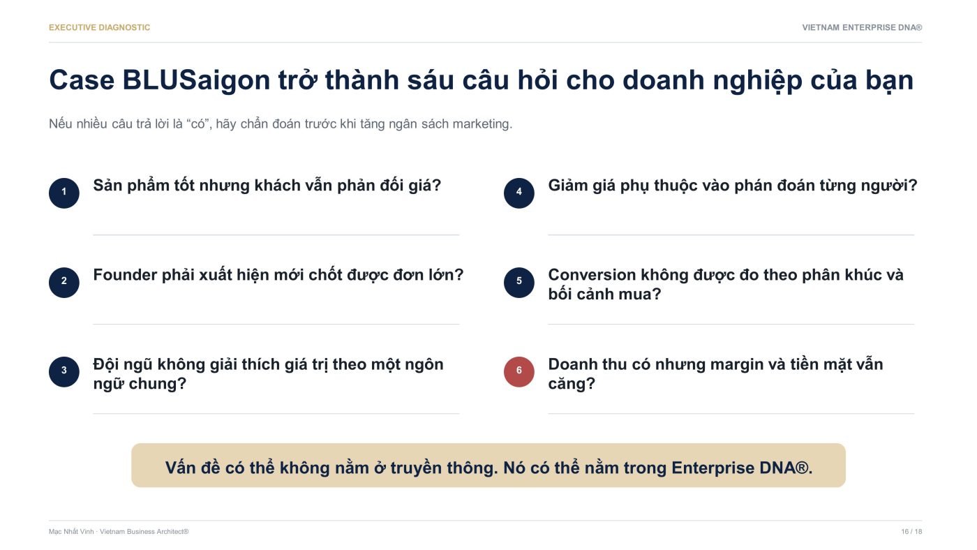 Vietnam Enterprise DNA®