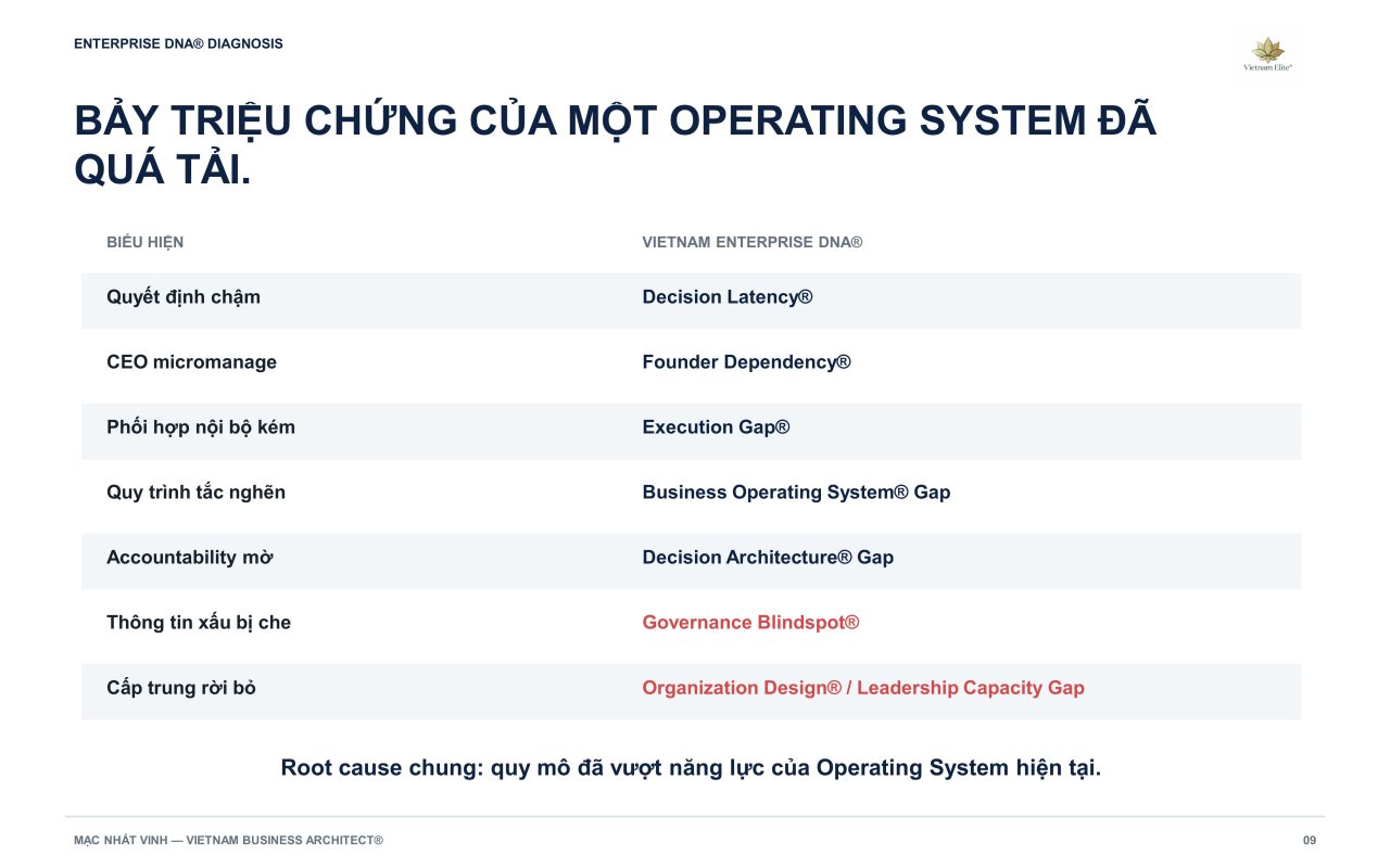 Vietnam Enterprise DNA®